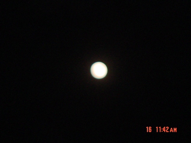 Moon Light.JPG