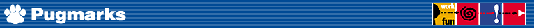 Pugmarks